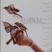    :: AloRkId ::